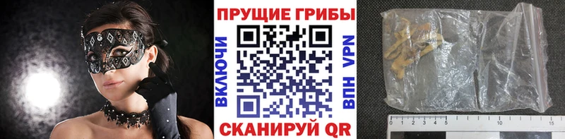 Галлюциногенные грибы Cubensis Людиново